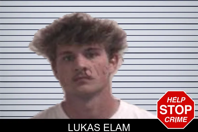 Lukas Elam mugshot