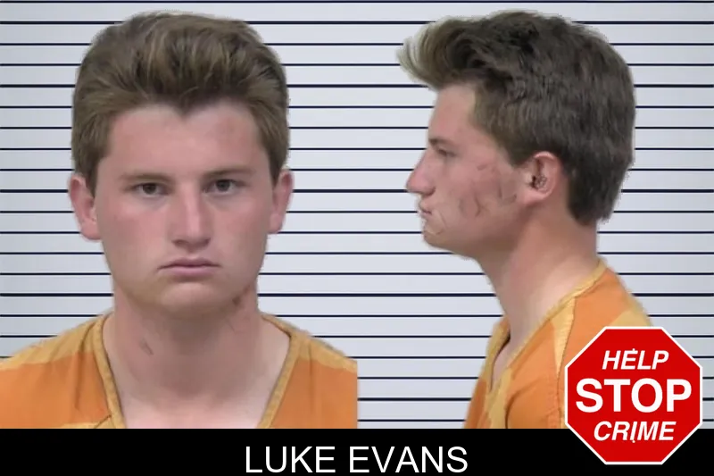 Luke Evans mugshot – Paulding County , Georgia Luke Evans mugshot