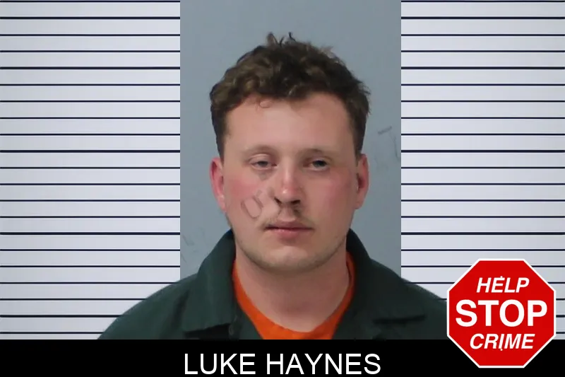 Luke Haynes mugshot – Mcintosh County , Georgia Luke Haynes mugshot