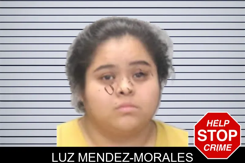 Luz Mendez-Morales mugshot