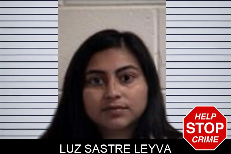 Luz Sastre Leyva mugshot – Henry County , Georgia Luz Sastre Leyva mugshot