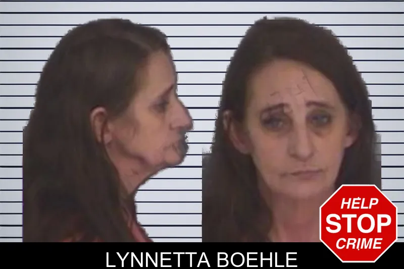 Lynnetta Boehle mugshot
