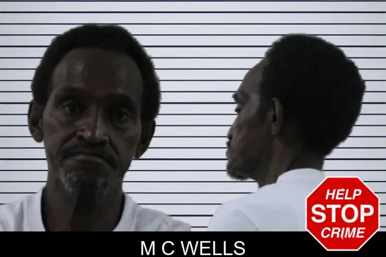 M C Wells