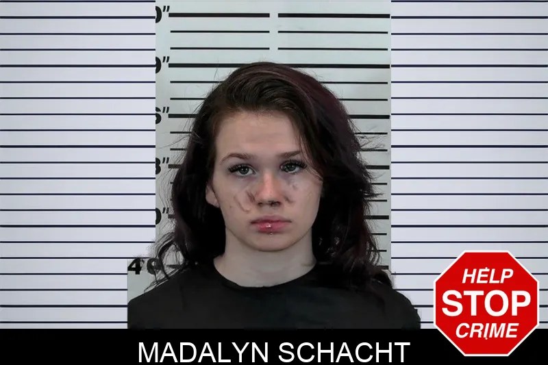 Madalyn Schacht mugshot – Hart County , Georgia Madalyn Schacht mugshot