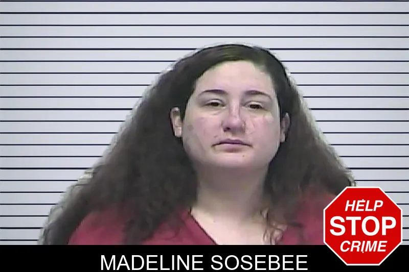 Madeline Sosebee mugshot