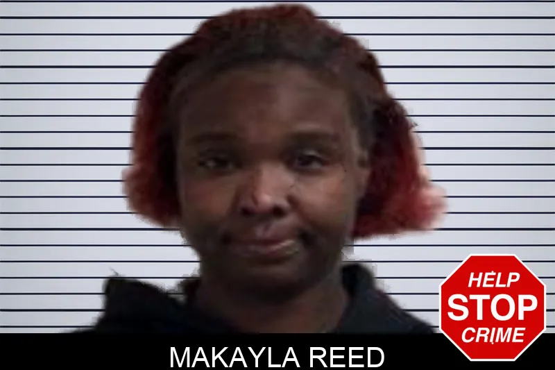 Makayla Reed mugshot – Henry County , Georgia Makayla Reed mugshot