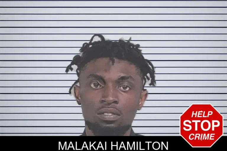 Malakai Hamilton mugshot – Lowndes County , Georgia Malakai Hamilton