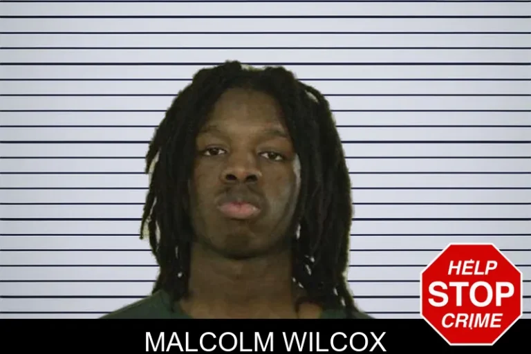 Malcolm Wilcox