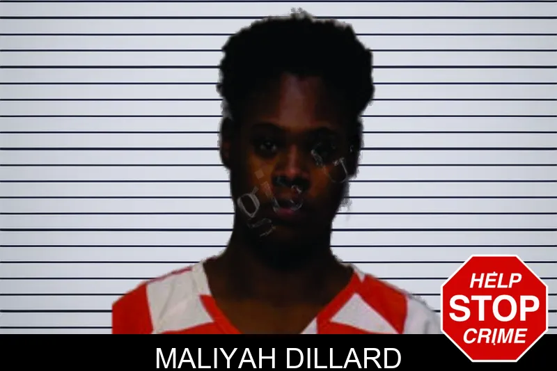 Maliyah Dillard mugshot – Bartow County , Georgia Maliyah Dillard mugshot