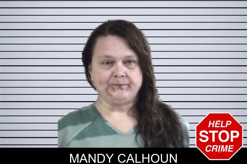 Mandy Calhoun mugshot – Whitfield County , Georgia Mandy Calhoun mugshot