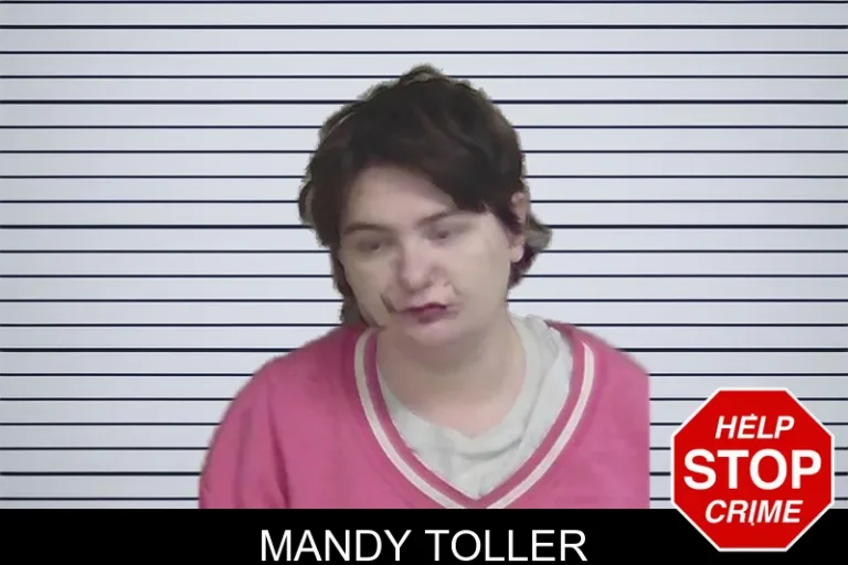 Mandy Toller mugshot – Wayne County , Georgia Mandy Toller