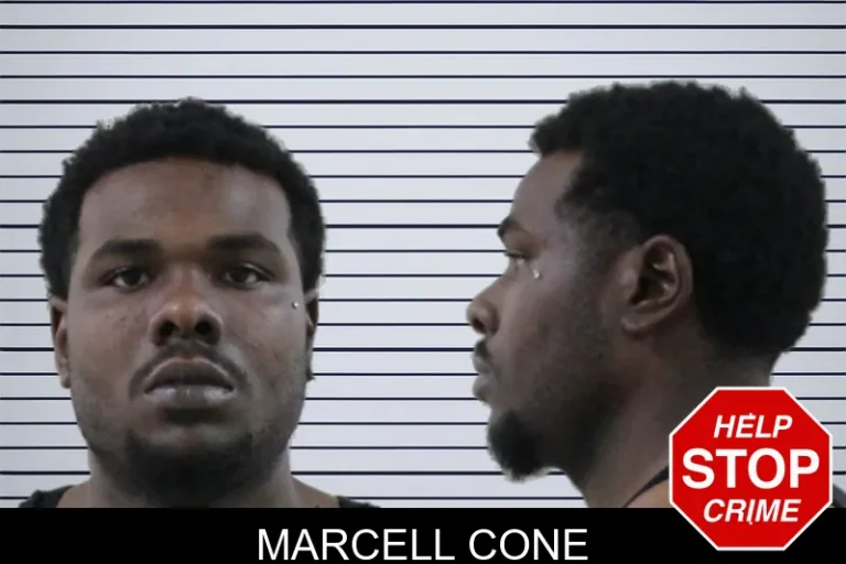 Marcell Cone