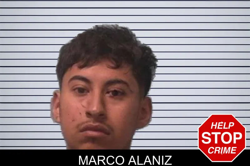 Marco Alaniz mugshot