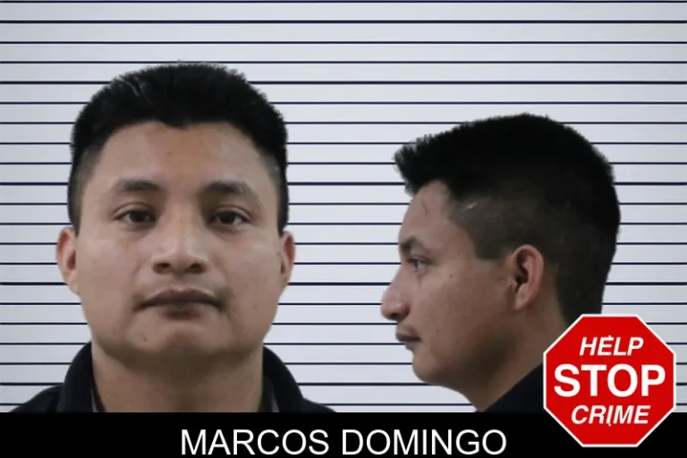 Marcos Domingo
