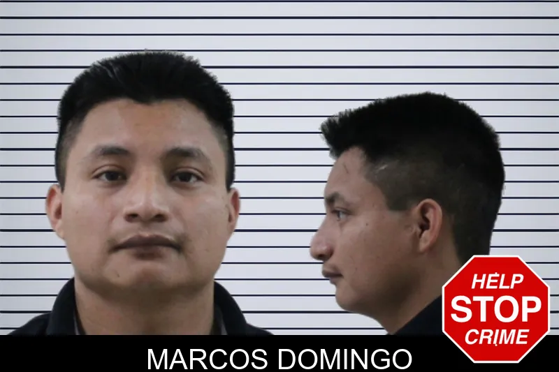 Marcos Domingo mugshot