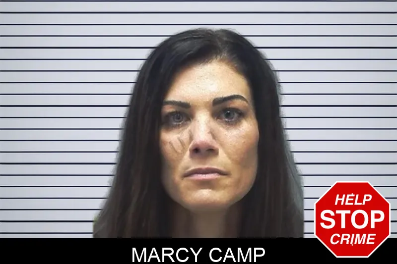 Marcy Camp mugshot – Cherokee County , Georgia Marcy Camp mugshot