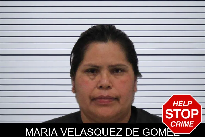 Maria Velasquez De Gomez mugshot