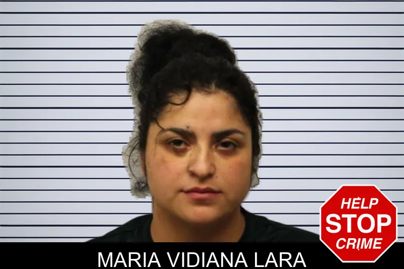 Maria Vidiana Lara mugshot