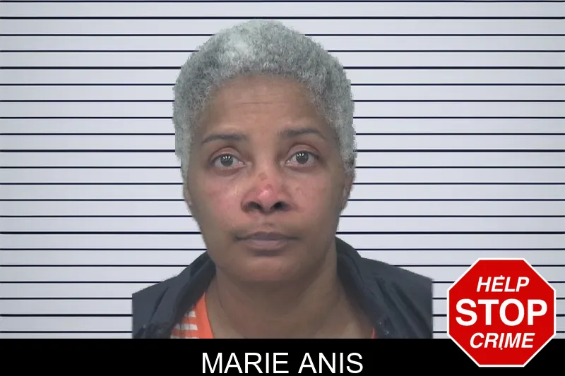 Marie Anis mugshot – Gwinnett County , Georgia Marie Anis mugshot