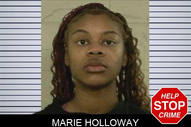 Marie Holloway mugshot – Liberty County , Georgia Marie Holloway mugshot