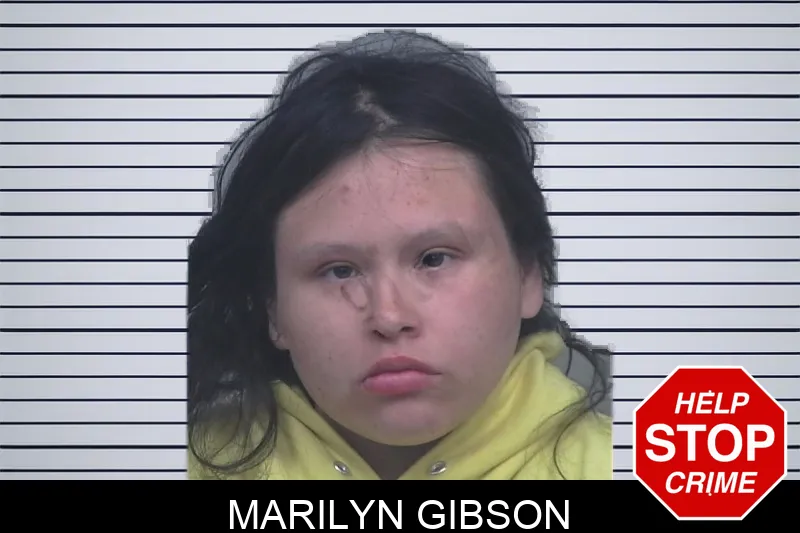 Marilyn Gibson mugshot
