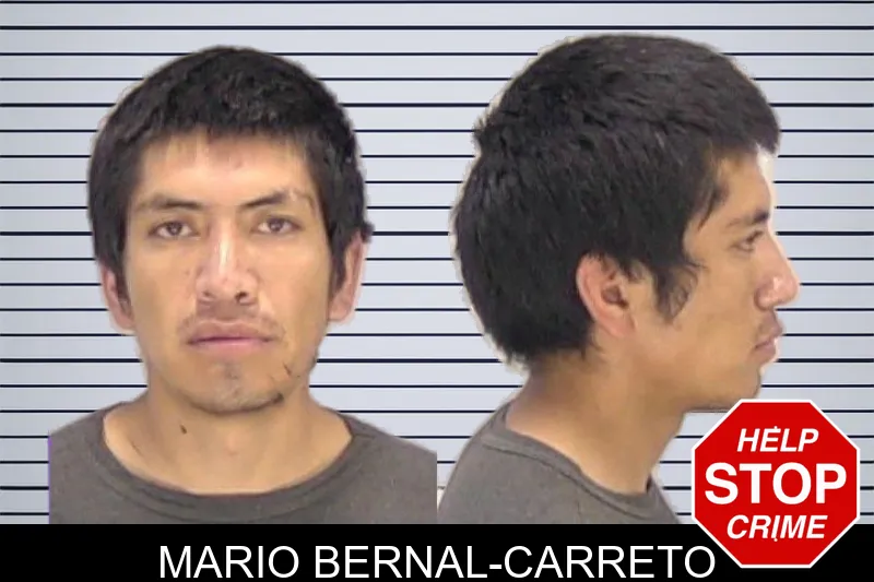 Mario Bernal-Carreto mugshot