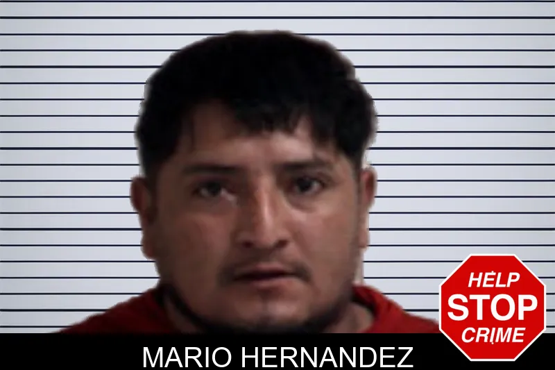 Mario Hernandez mugshot