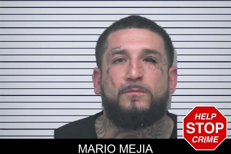 Mario Mejia mugshot