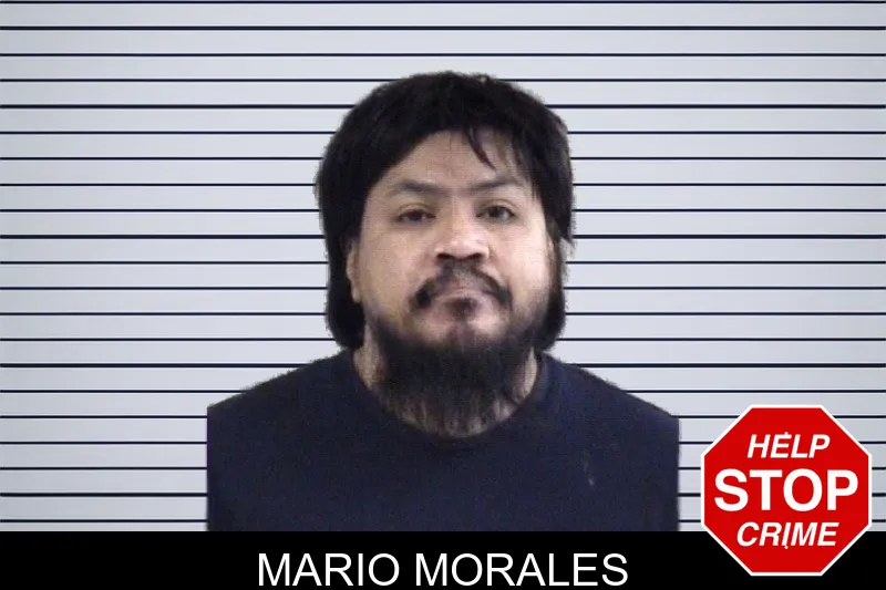 Mario Morales mugshot
