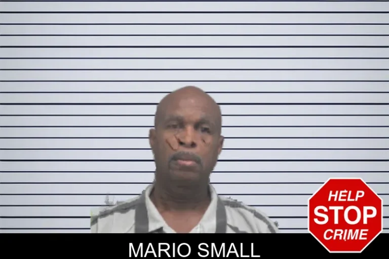 Mario Small