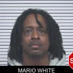 Mario White mugshot – Gwinnett County , Georgia Mario White mugshot