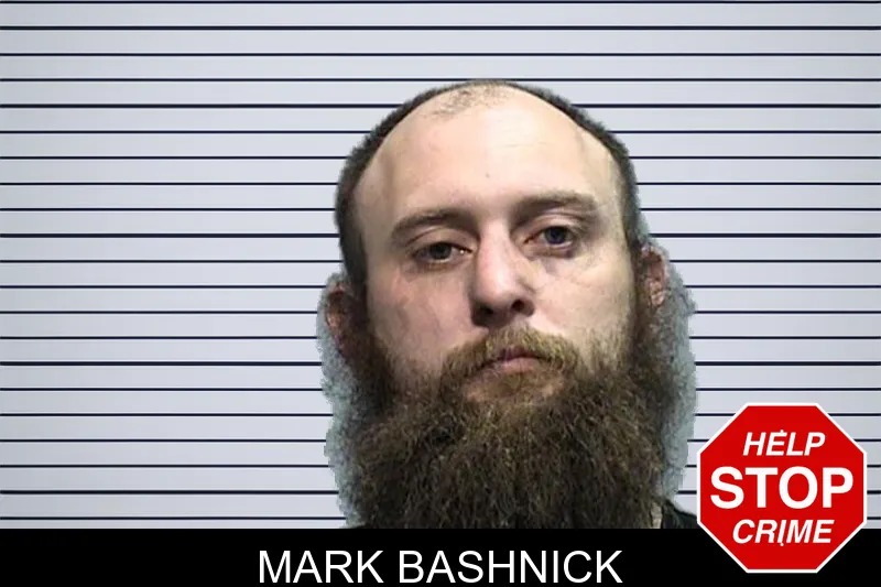 Mark Bashnick mugshot