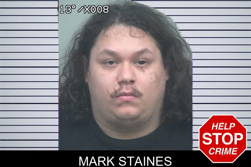 Mark Staines mugshot – Gwinnett County , Georgia Mark Staines mugshot