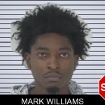 Mark Williams mugshot – Fayette County , Georgia Mark Williams mugshot