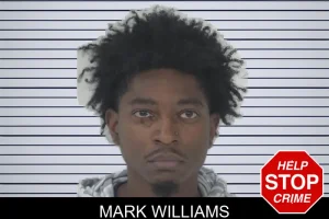 Mark Williams mugshot