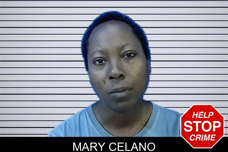 Mary Celano mugshot
