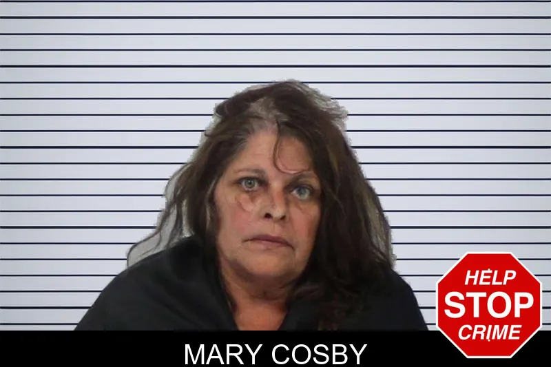 Mary Cosby mugshot