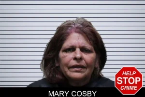 Mary Cosby mugshot