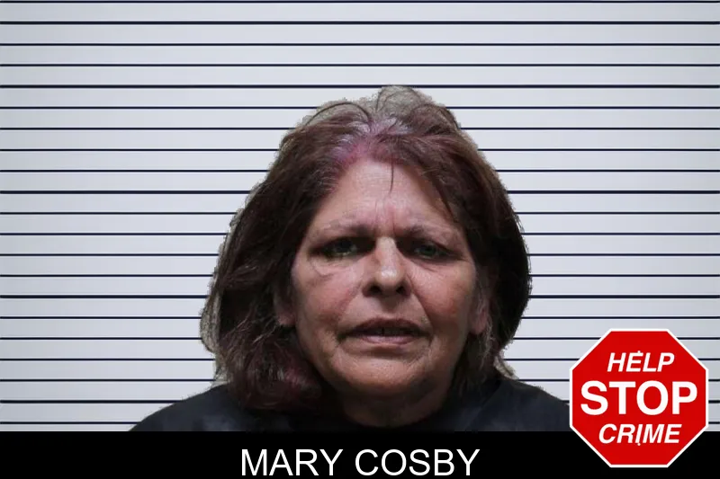 Mary Cosby mugshot