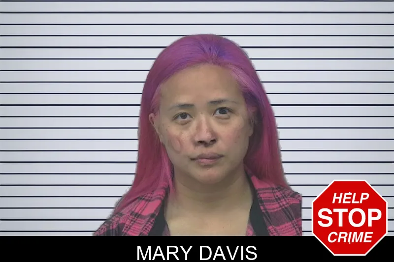 Mary Davis mugshot