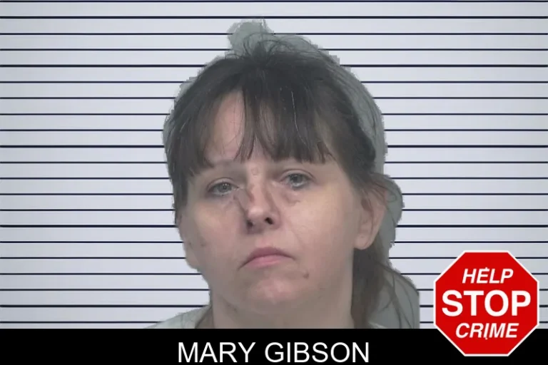 Mary Gibson mugshot – Gwinnett County , Georgia Mary Gibson