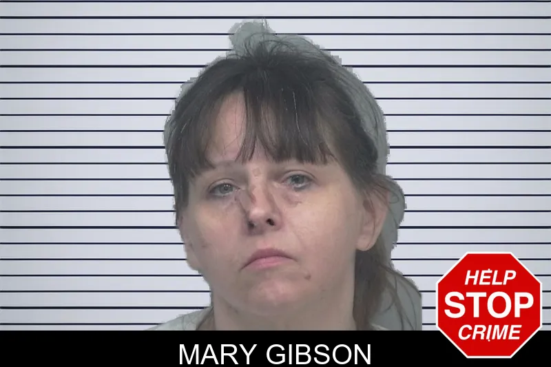 Mary Gibson mugshot