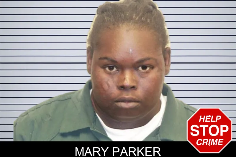 Mary Parker mugshot – Chatham County , Georgia Mary Parker mugshot