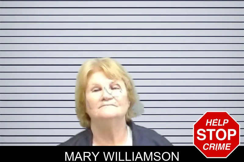 Mary Williamson mugshot – Fulton County , Georgia Mary Williamson mugshot