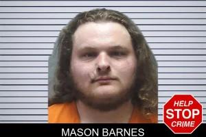 Mason Barnes mugshot