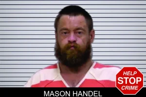 Mason Handel mugshot