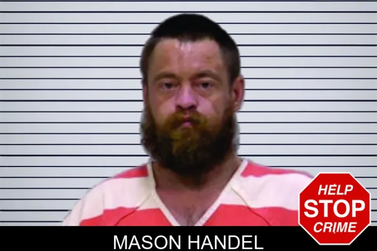 Mason Handel mugshot – Bartow County , Georgia Mason Handel