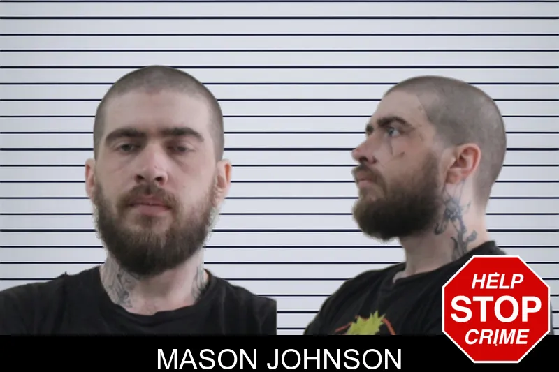 Mason Johnson mugshot