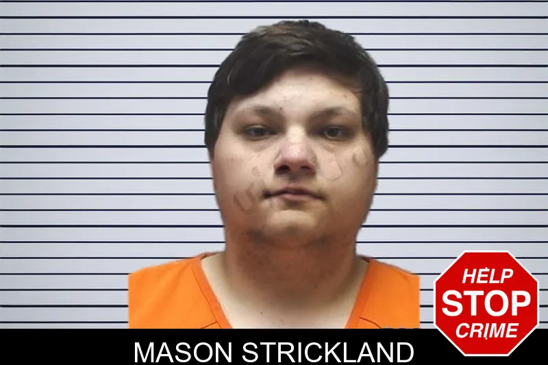 Mason Strickland mugshot