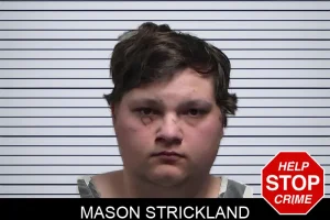 Mason Strickland mugshot